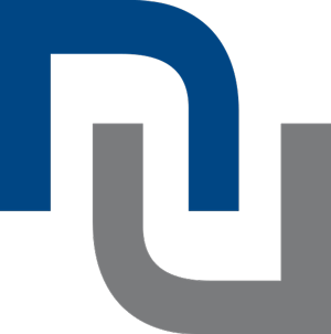 Logo nexus IT